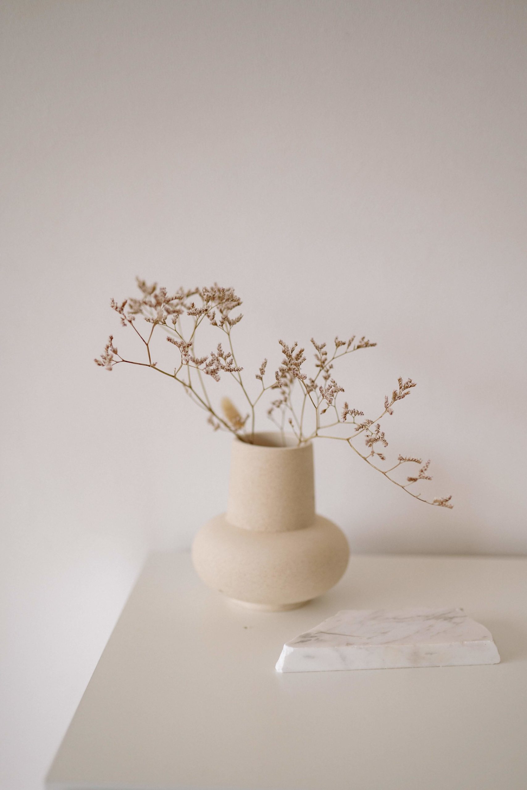 plante vase beige blanc scaled