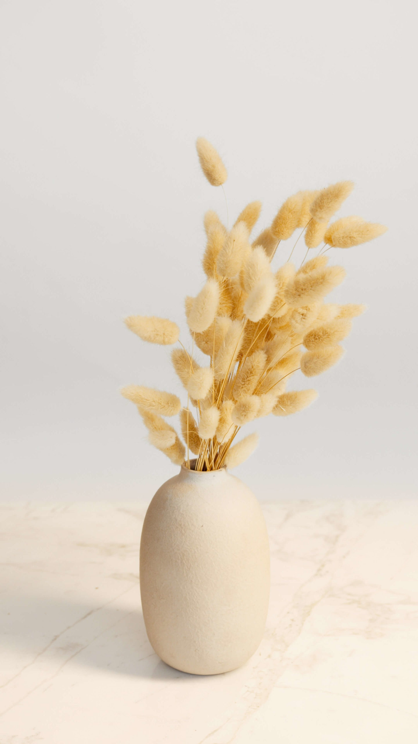 plante vase beige scaled