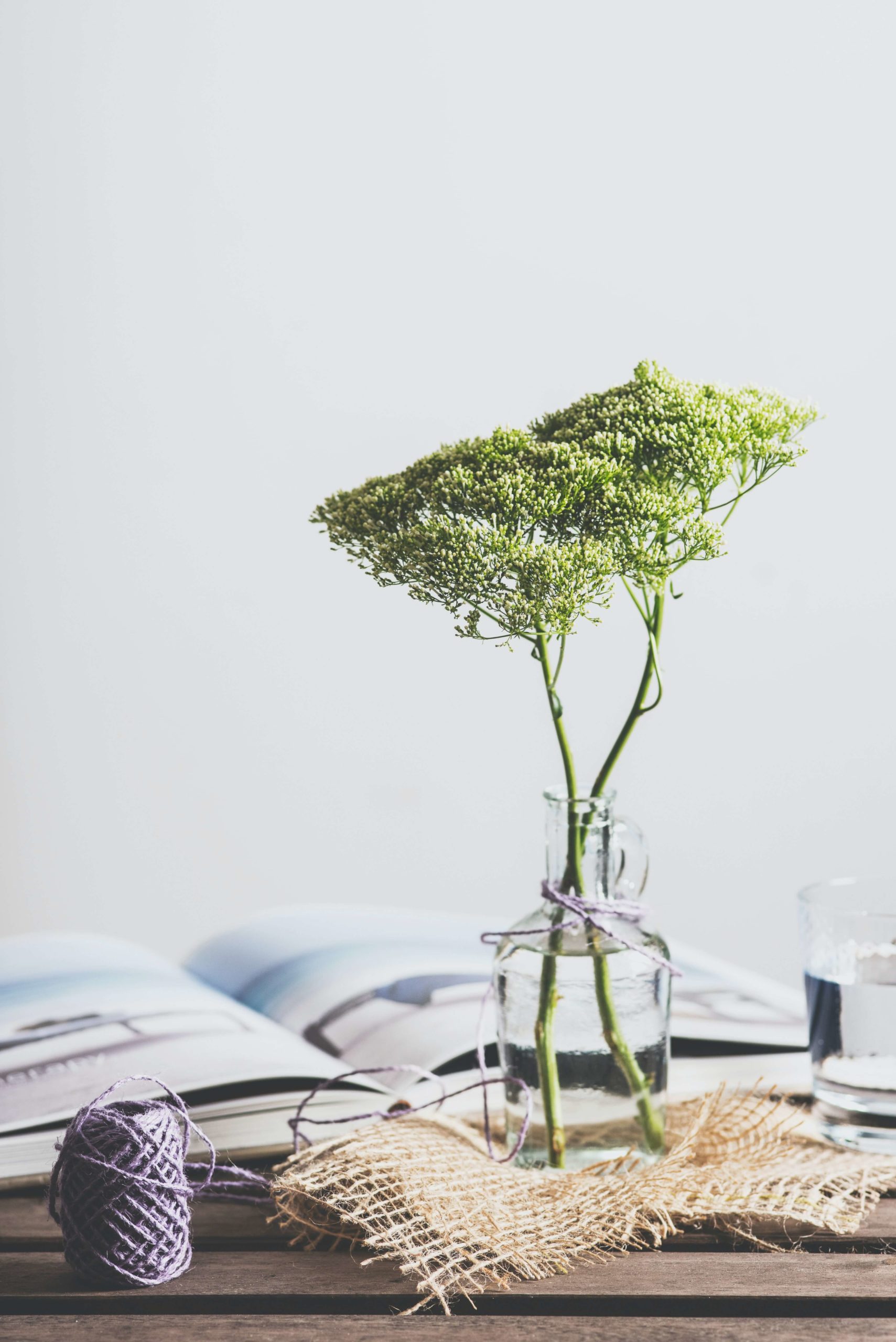 plante vase decor minimalisme scaled